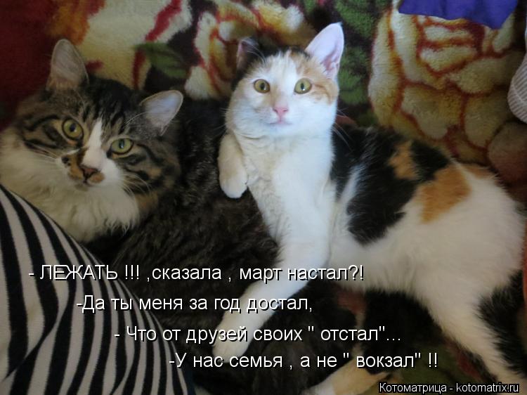 Котоматрица: - ЛЕЖАТЬ !!! ,сказала , март настал?! -Да ты меня за год достал, - Что от друзей своих " отстал"... -У нас семья , а не " вокзал" !!