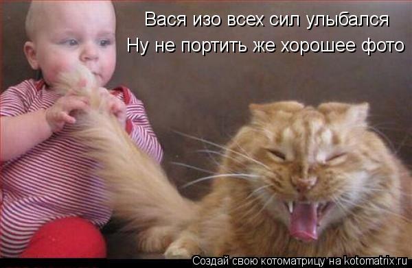 Котоматрица: Вася изо всех сил улыбался Ну не портить же хорошее фото
