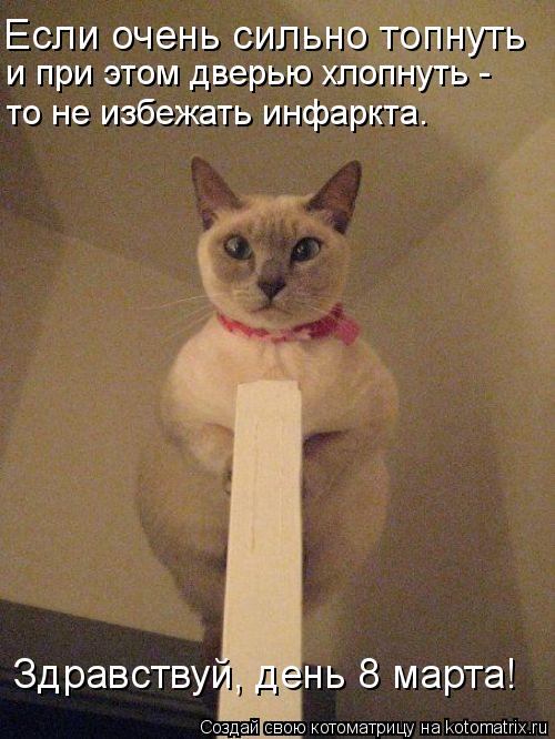 Котоматрица: Если очень сильно топнуть  и при этом дверью хлопнуть -  то не избежать инфаркта. Здравствуй, день 8 марта!