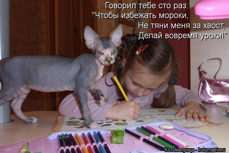 Котоматрица: Говорил тебе сто раз: "Чтобы избежать мороки, Не тяни меня за хвост, Делай вовремя уроки!"