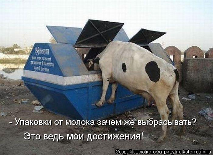 Котоматрица: - Упаковки от молока зачем же выбрасывать?  Это ведь мои достижения!
