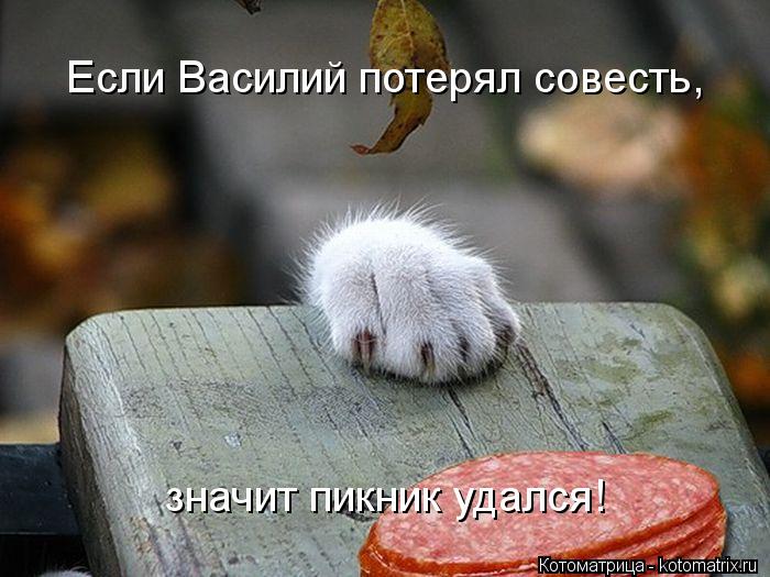 Котоматрица: Если Василий потерял совесть, значит пикник удался!