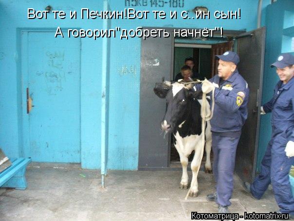 Котоматрица: Вот те и Печкин!Вот те и с..ин сын! А говорил"добреть начнёт"!