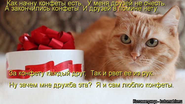 Котоматрица: Как начну конфеты есть,  У меня дpузей не счесть.  А закончились конфеты  И дpузей в помине нету. Hу зачем мне дpужба эта?  Я и сам люблю конфеты.  