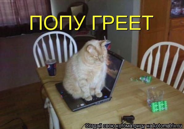 Котоматрица: ПОПУ ГРЕЕТ