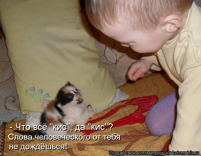Котоматрица: Слова человеческого от тебя не дождёшься! - Что всё "кис", да "киc"?