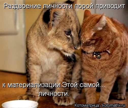 Котоматрица: Раздвоение личности порой приводит  к материализации.Этой самой... личности.