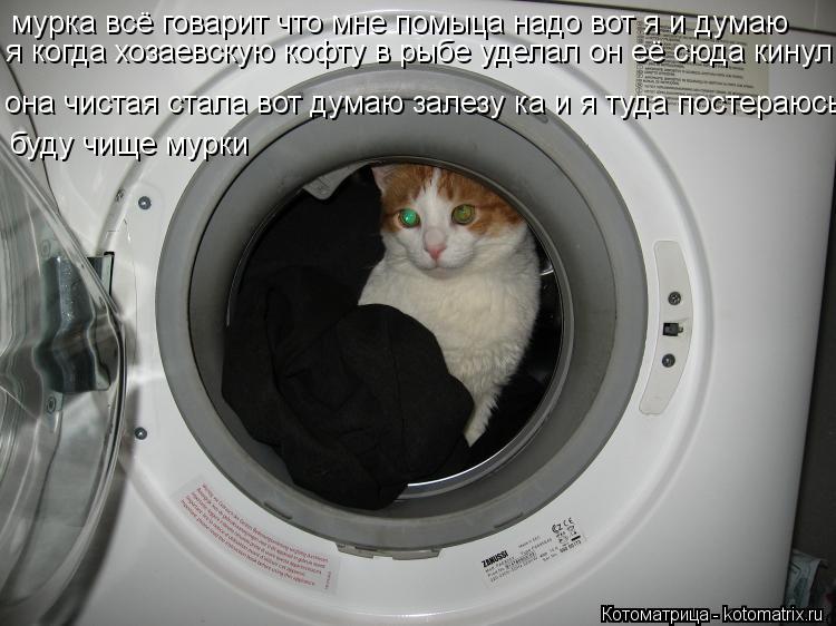 Котоматрица: мурка всё говарит что мне помыца надо вот я и думаю я когда хозаевскую кофту в рыбе уделал он её сюда кинул она чистая стала вот думаю залезу