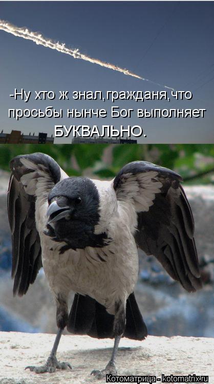 Котоматрица: -Ну хто ж знал,гражданя,что просьбы нынче Бог выполняет БУКВАЛЬНО.