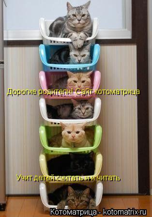 Котоматрица: Дорогие родители! Сайт котоматрица  Учит детей считать и и читать