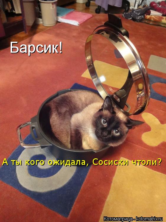 Котоматрица: Барсик! А ты кого ожидала, Сосиски чтоли?