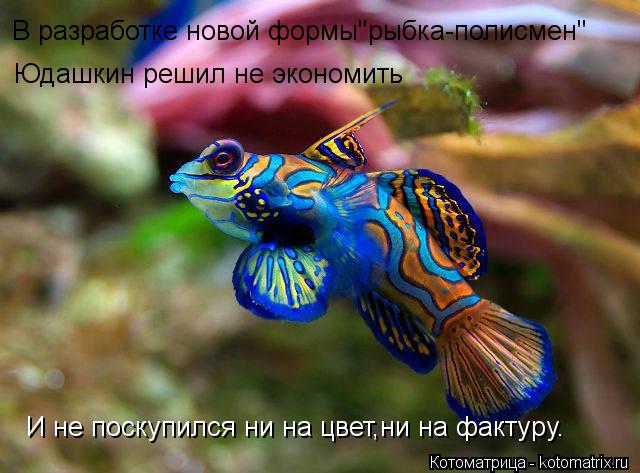 Котоматрица: Юдашкин решил не экономить В разработке новой формы"рыбка-полисмен" И не поскупился ни на цвет,ни на фактуру.