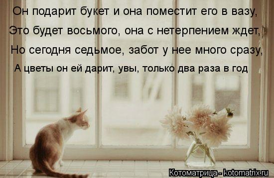 Котоматрица: Он подарит букет и она поместит его в вазу, Это будет восьмого, она с нетерпением ждет, Но сегодня седьмое, забот у нее много сразу, А цветы он