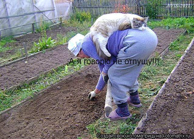 Котоматрица: А я говорю не отпущу!!!