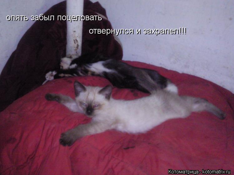 Котоматрица: опять забыл поцеловать отвернулся и захрапел!!!