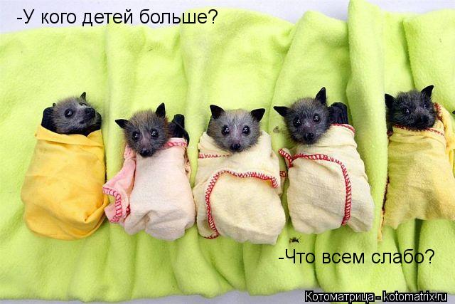Котоматрица: -У кого детей больше? -Что всем слабо?