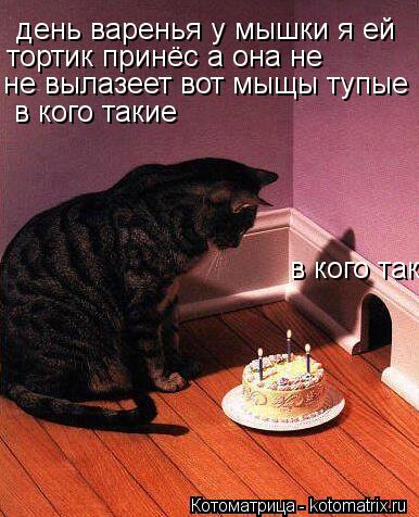 Котоматрица: день варенья у мышки я ей  тортик принёс а она не  не вылазеет вот мыщы тупые в кого такие в кого такие