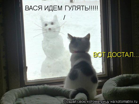 Котоматрица: ВАСЯ ИДЕМ ГУЛЯТЬ!!!!! /   ВОТ ДОСТАЛ...