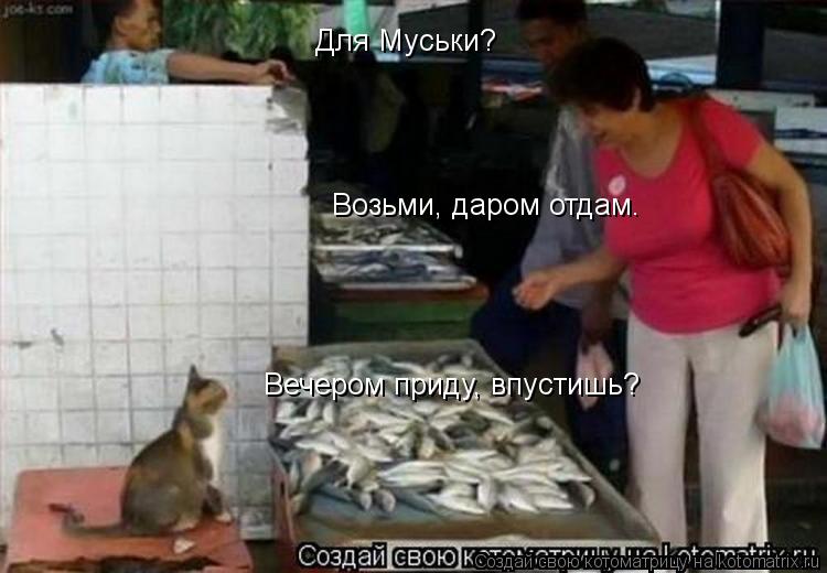 Котоматрица: Для Муськи?  Возьми, даром отдам.   Вечером приду, впустишь?