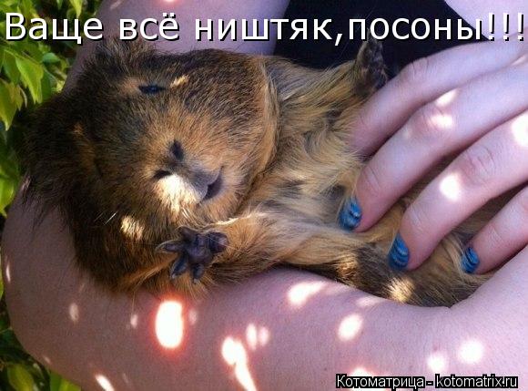 Котоматрица: Ваще всё ништяк,посоны!!!