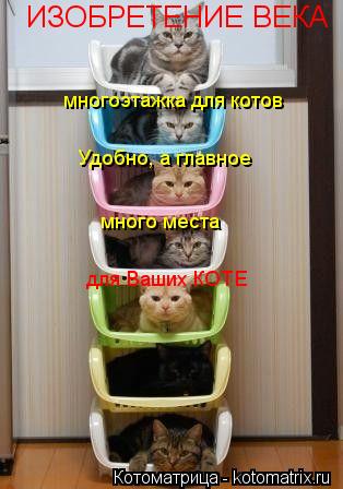 Котоматрица: ИЗОБРЕТЕНИЕ ВЕКА многоэтажка для котов Удобно, а главное много места  для Ваших КОТЕ