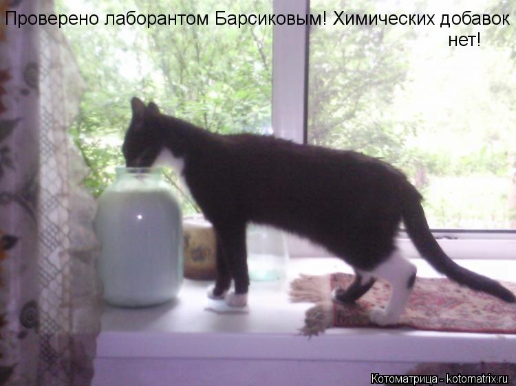 Котоматрица: Проверено лаборантом Барсиковым! Химических добавок  нет!