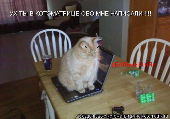 Котоматрица: УХ ТЫ В КОТОМАТРИЦЕ ОБО МНЕ НАПИСАЛИ !!!! ^___^ рЕАЛЬнЫЙ нЯн