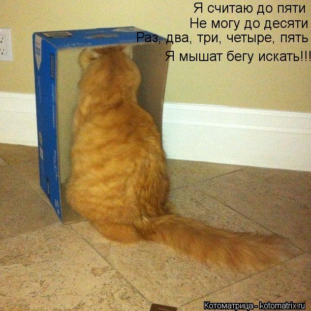 Котоматрица: Я считаю до пяти Не могу до десяти Раз, два, три, четыре, пять Я мышат бегу искать!!!
