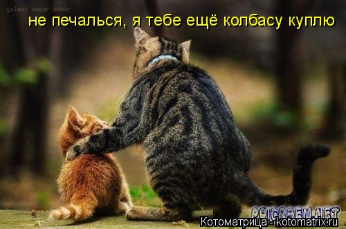 Котоматрица: не печалься, я тебе ещё колбасу куплю
