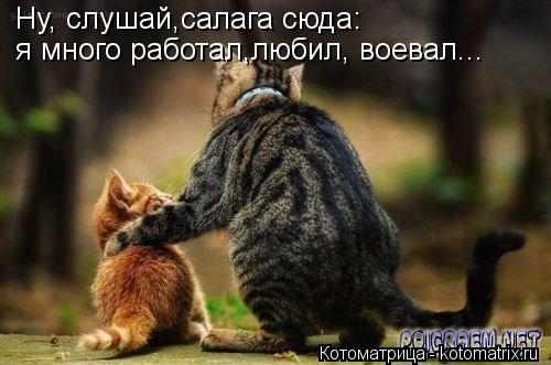 Котоматрица: Ну, слушай,салага сюда: я много работал,любил, воевал...