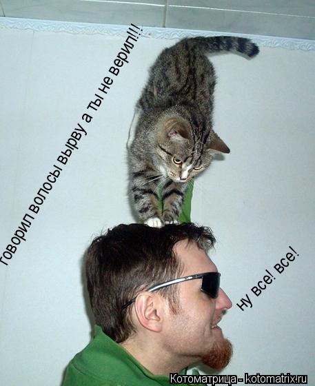Котоматрица: говорил волосы вырву а ты не верил!!! ну все! все!