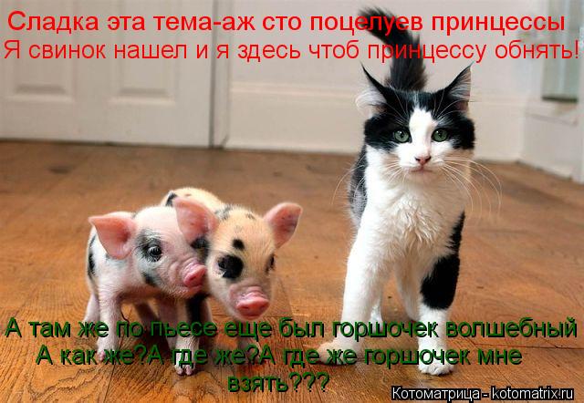 Котоматрица: Сладка эта тема-аж сто поцелуев принцессы Я свинок нашел и я здесь чтоб принцессу обнять! А там же по пьесе еще был горшочек волшебный А как 
