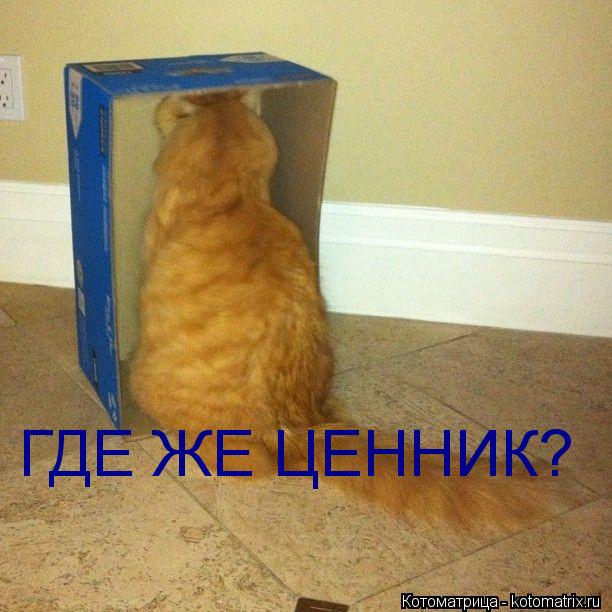 Котоматрица: ГДЕ ЖЕ ЦЕННИК?