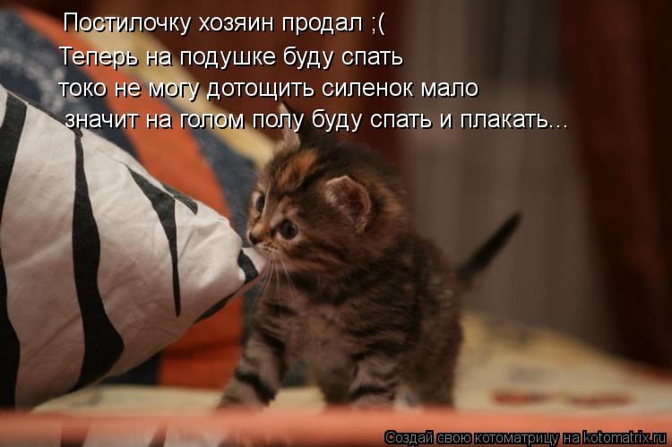 Котоматрица: Постилочку хозяин продал ;( Теперь на подушке буду спать токо не могу дотощить силенок мало значит на голом полу буду спать и плакать...