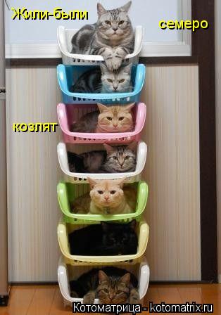 Котоматрица: Жили-были  семеро козлят