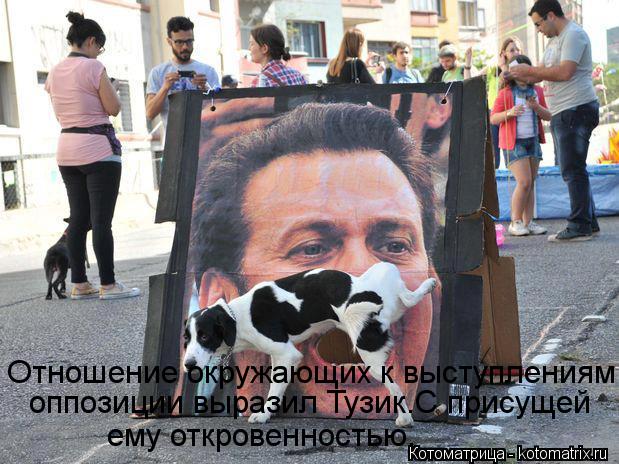 Котоматрица: Отношение окружающих к выступлениям  оппозиции выразил Тузик.С присущей ему откровенностью.
