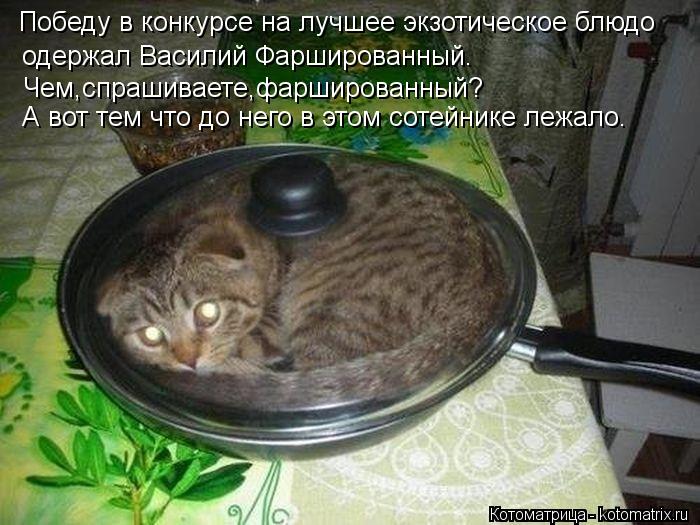 Котоматрица: Победу в конкурсе на лучшее экзотическое блюдо  одержал Василий Фаршированный. Чем,спрашиваете,фаршированный? А вот тем что до него в этом 