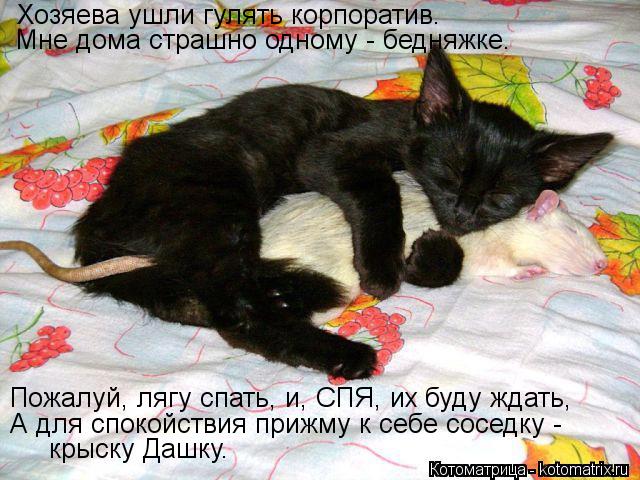 Котоматрица: Хозяева ушли гулять корпоратив. Мне дома страшно одному - бедняжке. Пожалуй, лягу спать, и, СПЯ, их буду ждать, А для спокойствия прижму к себе