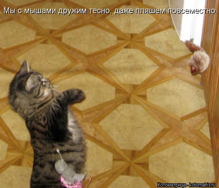 Котоматрица: Мы с мышами дружим тесно, даже пляшем повсеместно.