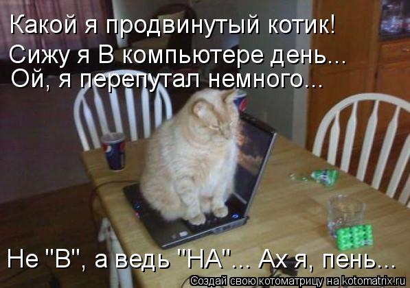 Котоматрица: Какой я продвинутый котик! Сижу я В компьютере день... Не "В", а ведь "НА"... Ах я, пень... Ой, я перепутал немного...