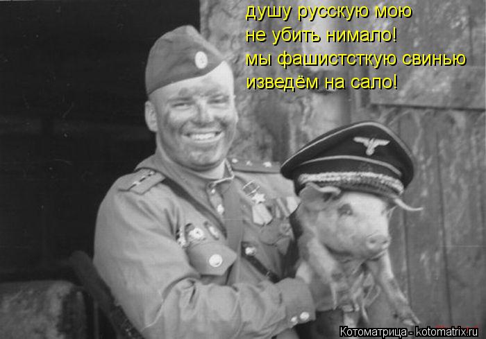 Котоматрица: душу русскую мою не убить нимало! мы фашистсткую свинью изведём на сало!