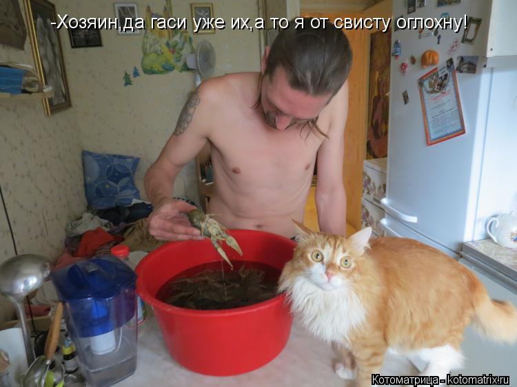 Котоматрица: -Хозяин,да гаси уже их,а то я от свисту оглохну!