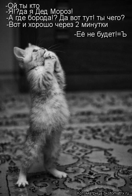 Котоматрица: -Ой ты кто -Я!?да я Дед Мороз! -А где борода!? Да вот тут! ты чего? -Вот и хорошо через 2 минутки -Её не будет!=Ъ