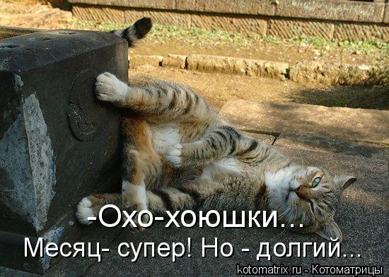 Котоматрица: -Охо-хоюшки... Месяц- супер! Но - долгий...