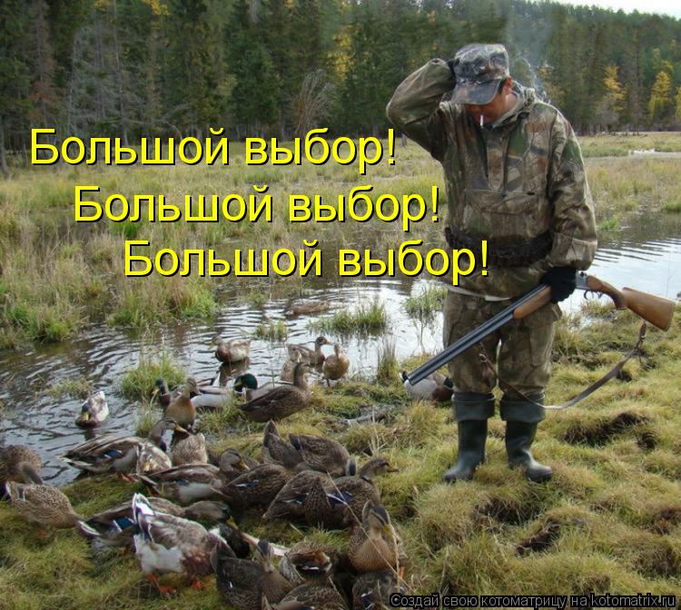Котоматрица: Большой выбор! Большой выбор! Большой выбор!