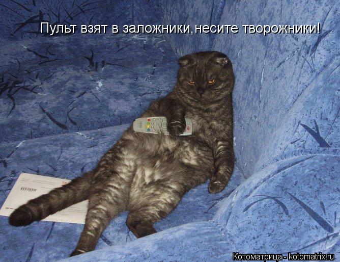 Котоматрица: Пульт взят в заложники,несите творожники!