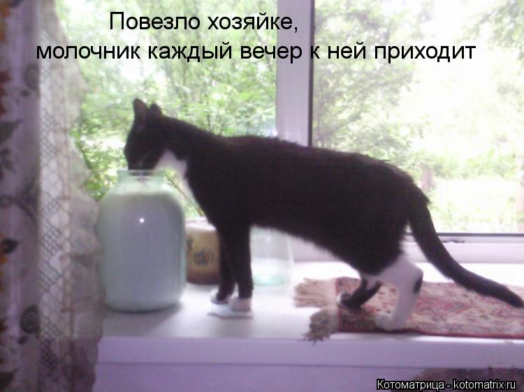 Котоматрица: Повезло хозяйке, молочник каждый вечер к ней приходит