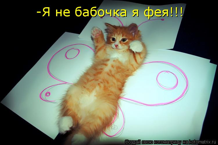 Котоматрица: -Я не бабочка я фея!!!