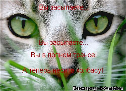 Вы засыпаете... Вы засыпаете... Вы в полном трансе! А теперь несите колбасу!... Котоматрица: Вы засыпаете... Вы засыпаете... Вы в полном трансе! А теперь несите колбасу!