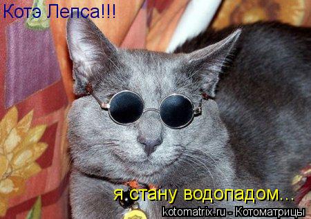 Котоматрица: Котэ Лепса!!! я стану водопадом...